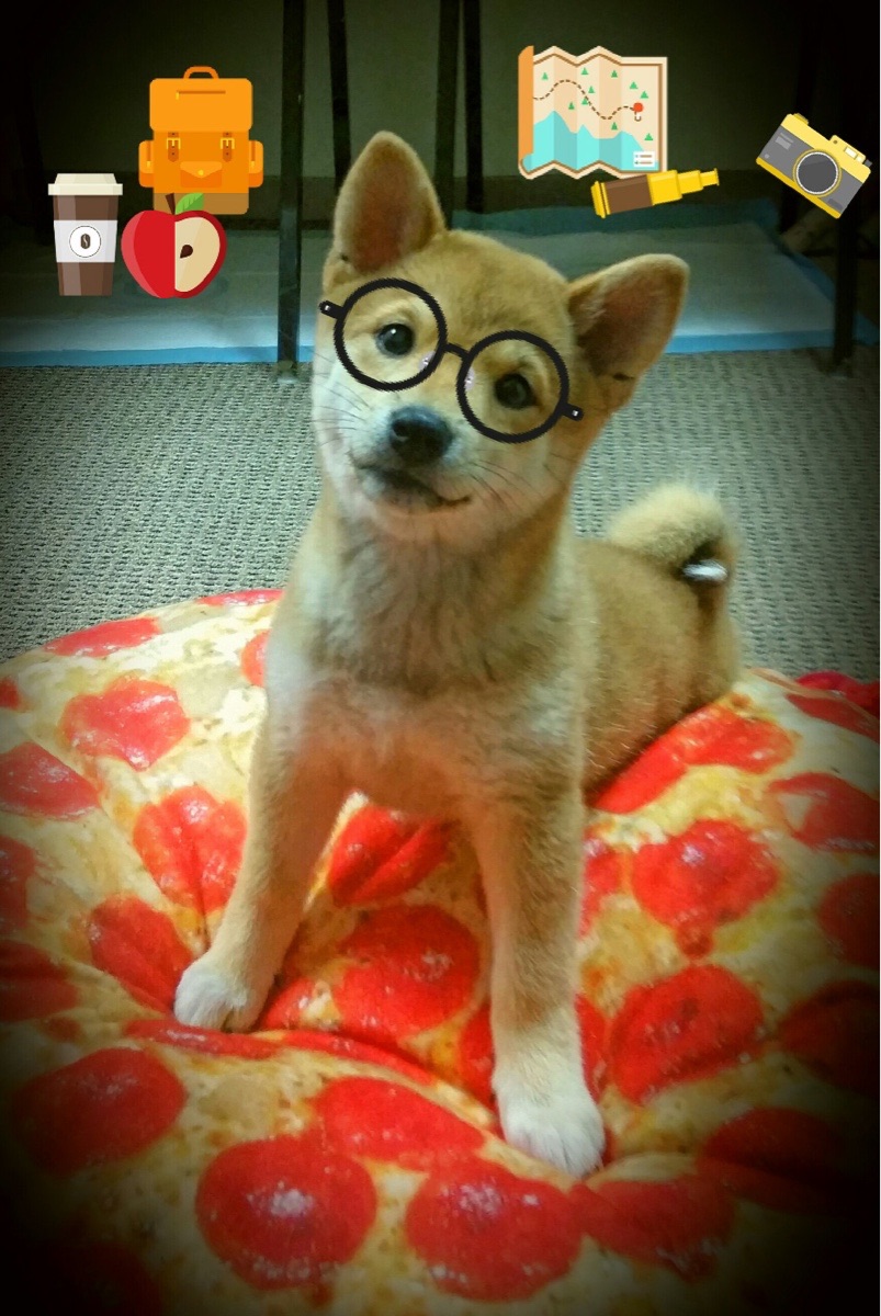 _城市探险赛：穿越历史的跑者之旅_，城市探险的现状