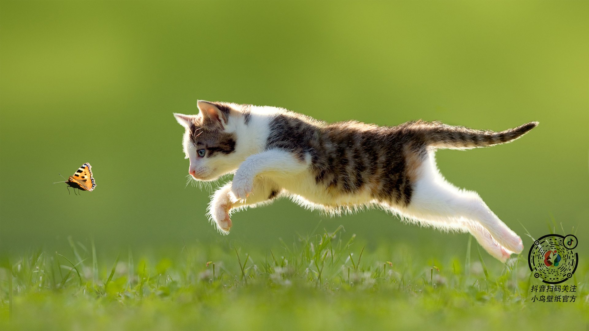 内马尔、姆巴佩、梅西三人联手的战术配合令人惊叹，内马尔姆巴佩梅西合照