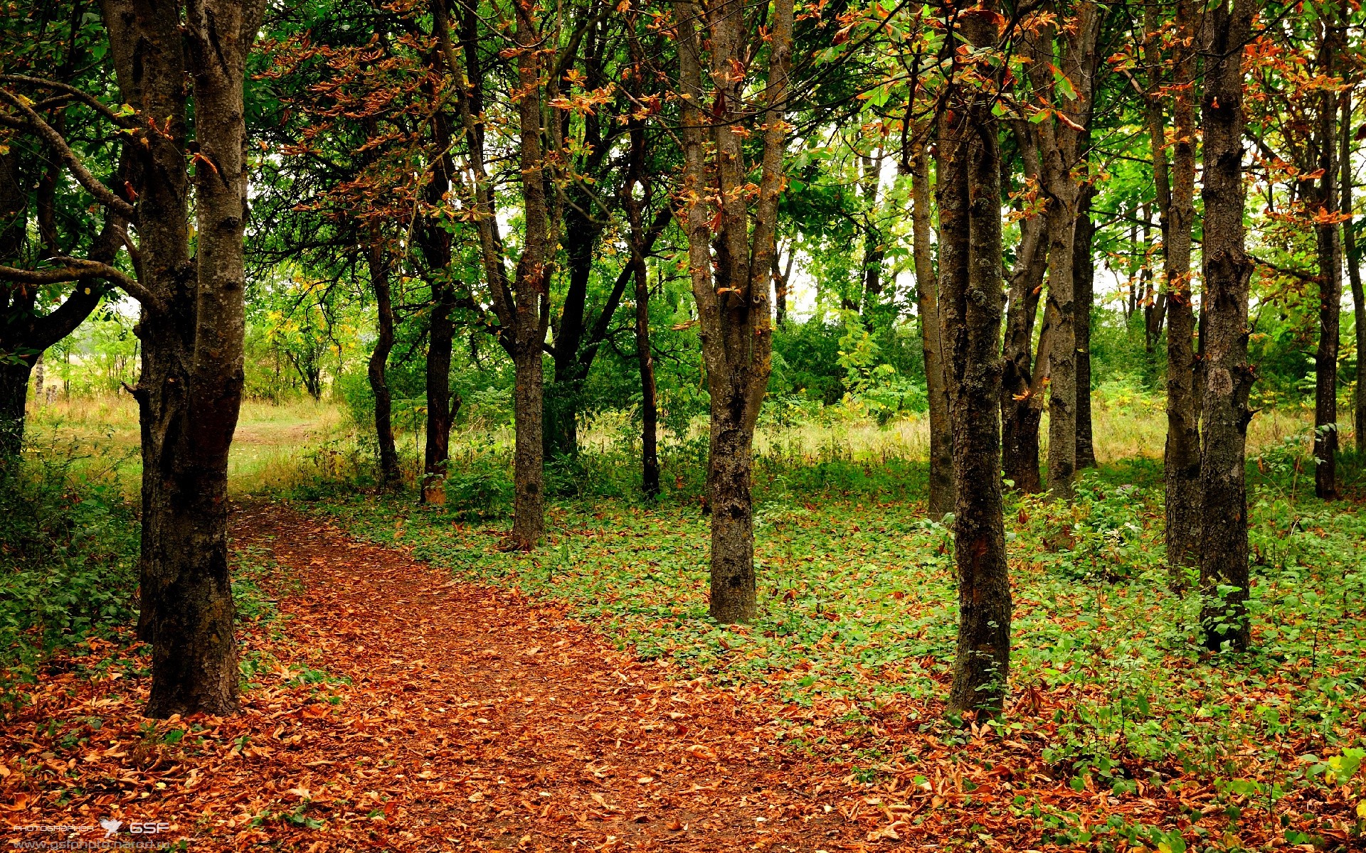 _夜空跑步：星光伴我行_，夜空星光闪耀图片