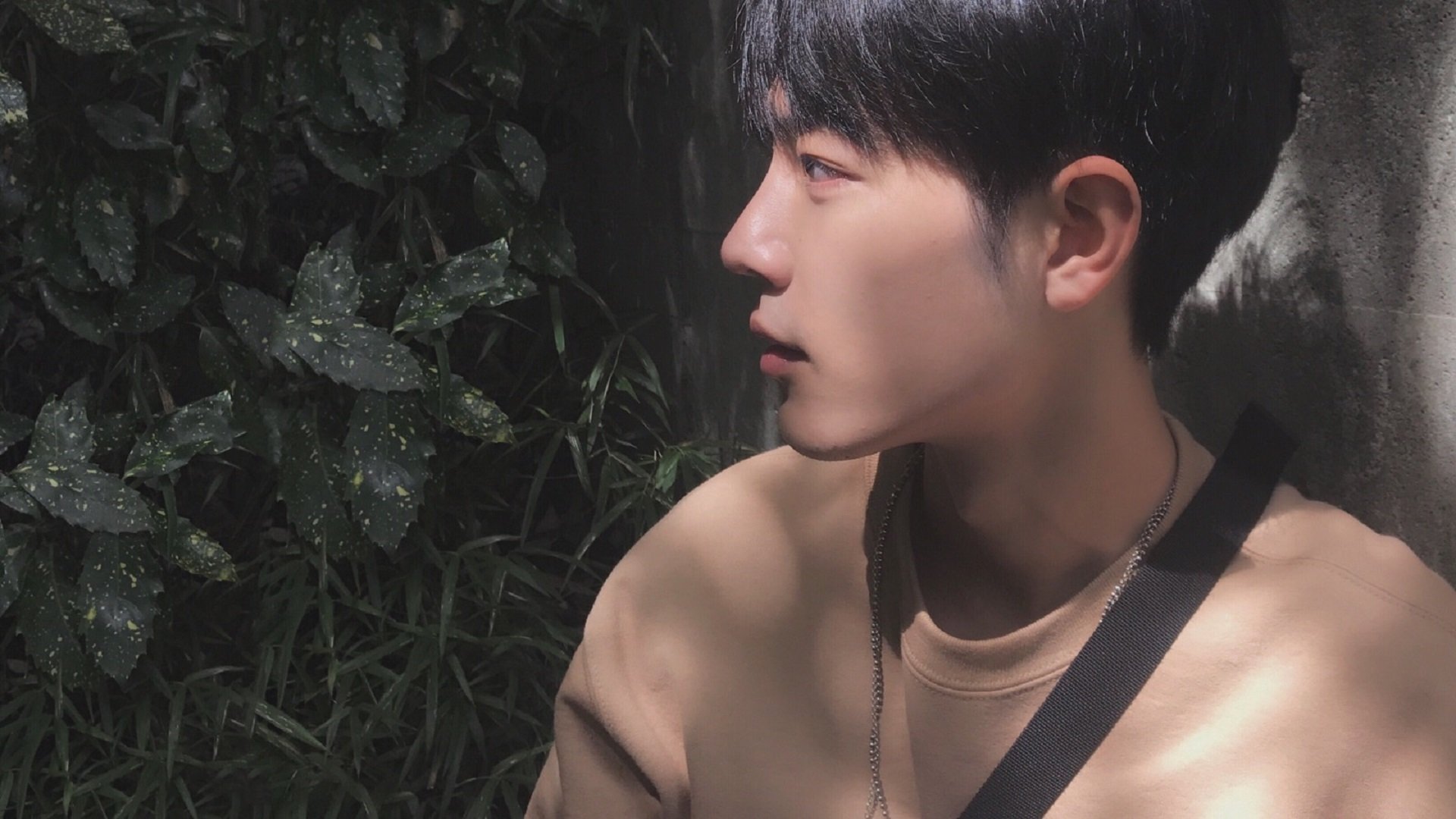 中国篮球产业链布局优化，推动体育经济繁荣，中国篮球产业白皮书